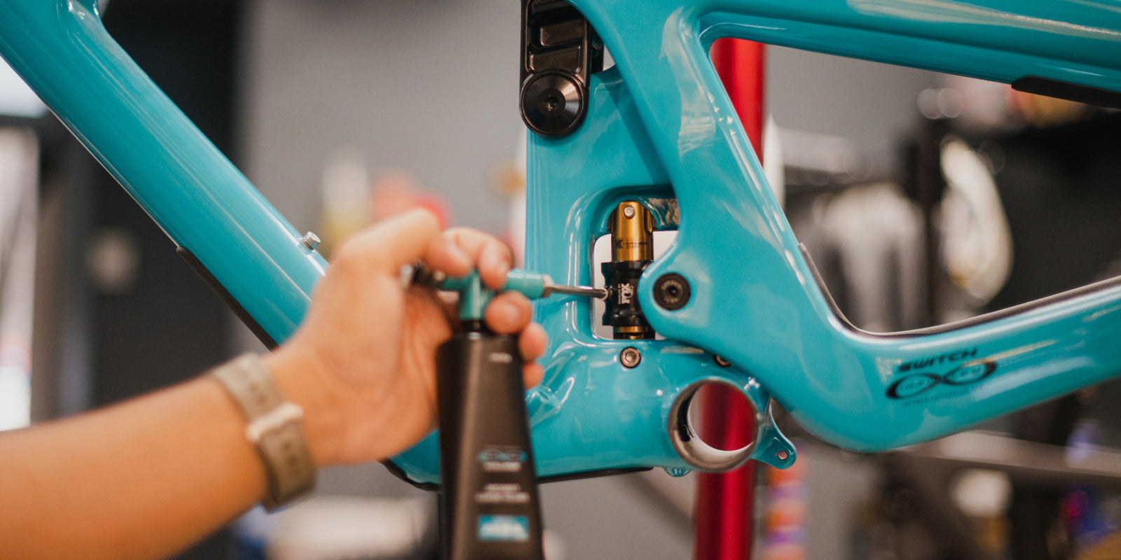 Yeti's Switch Infinity Link: Care and Feeding of