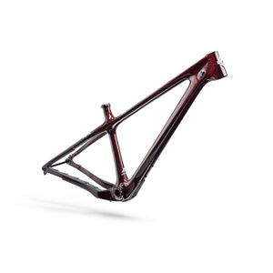 ARC Turq Frame