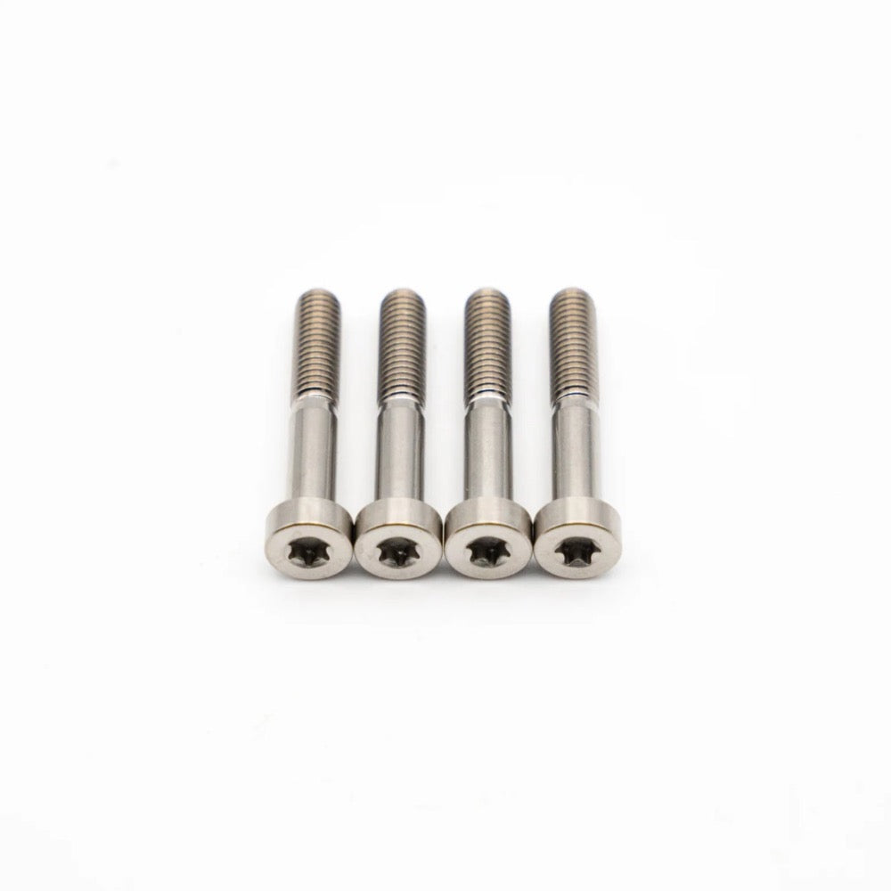 SRAM Maven Brake Titanium Bolts