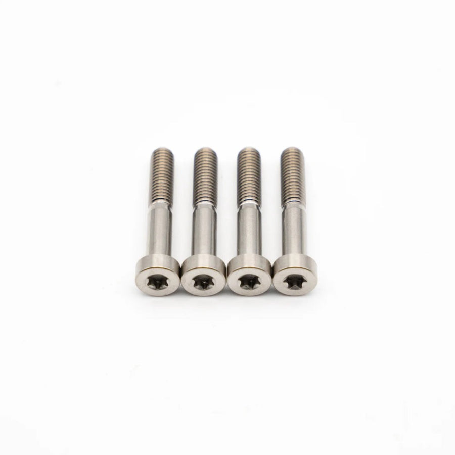 SRAM Maven Brake Titanium Bolts